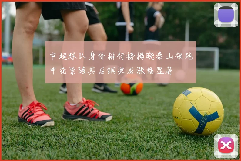 中超球队身价排行榜揭晓泰山领跑申花紧随其后铜梁龙涨幅显著